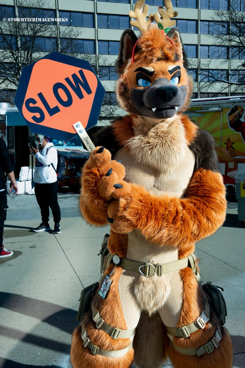 StormTierPhotos's tweet photo. When furries ask you to staff a con; just do it. Amazing time at #MFF25. Way more to come (working through 13,787 photos), and so many amazing moments! 

See ya next year Midwest Fur Fest! 

#MFF2025 #furryfandom #StormTierImageworks #EmbraceTheWeird https://t.co/I459snwuuJ