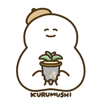 くるむし (@kurumu_shi) / Posts / X くるむし (@kurumu_shi) / Posts / X