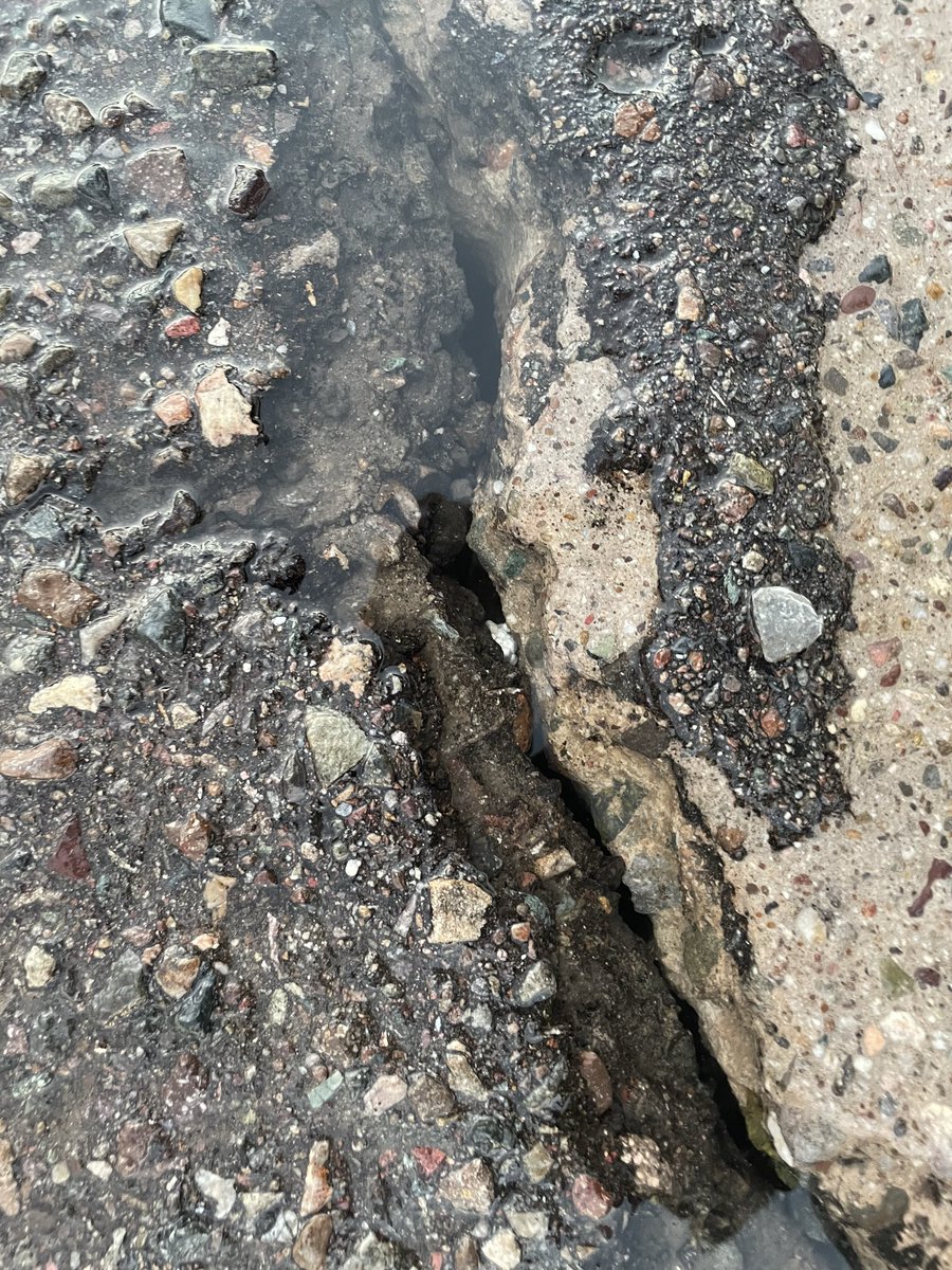 Guillermo González Vera tweet media