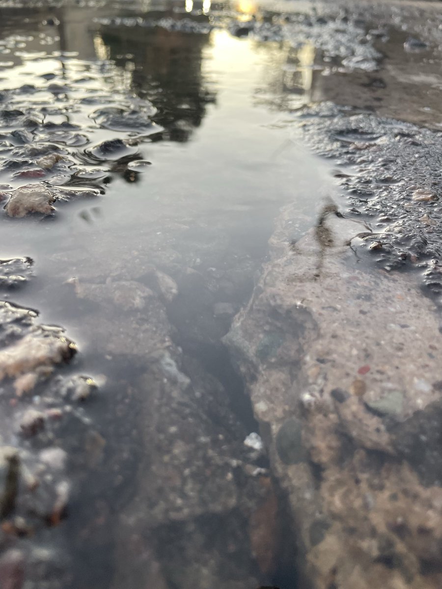 Guillermo González Vera tweet media