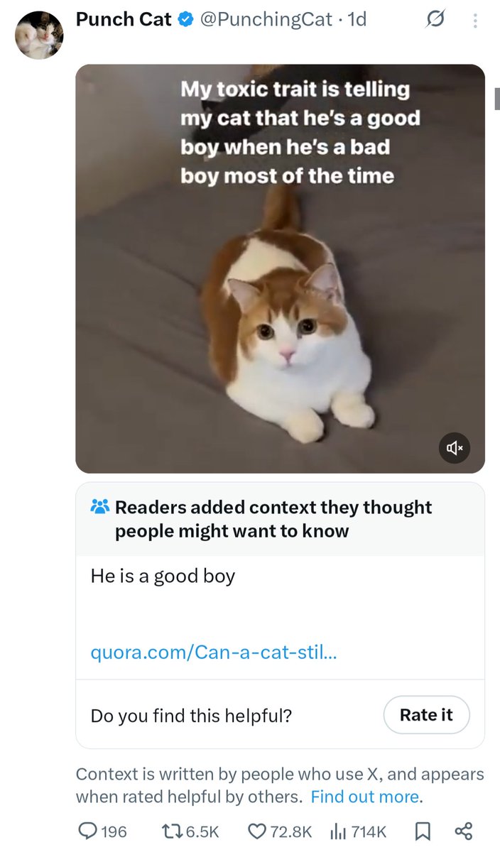 David Gozzard tweet media