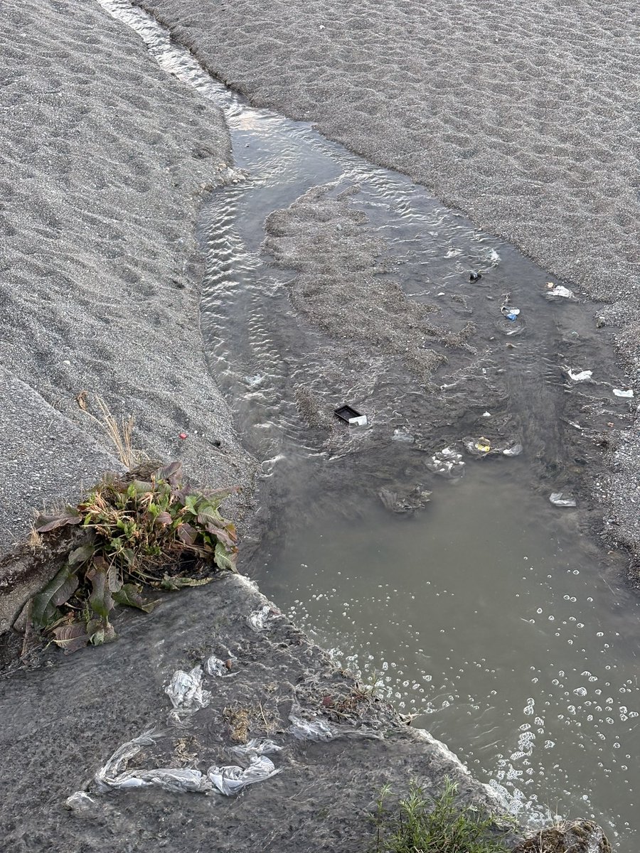Agua contaminada, con olor a desagüe yendo directo al lago, altura calle antonio varas con vicente perez rosales. Vamos a terminar como el lago vichuquen. <a href="/SuralisTeAyuda/">SuralisTeAyuda</a> <a href="/TomasGarate/">Tomás Gárate Silva</a> <a href="/muniptovaras/">Municipio Puerto Varas</a> <a href="/diario_eha/">El Heraldo Austral</a> <a href="/biobio/">BioBioChile</a> <a href="/seremisalud10/">Seremi Salud Los Lagos</a> <a href="/MmaLagos/">MedioAmbiente Los Lagos</a> <a href="/tamarapuchi/">Barbara Tamara Puchi Punocura</a> <a href="/MMAChile/">Ministerio del Medio Ambiente</a> <a href="/Cooperativa/">Cooperativa</a>