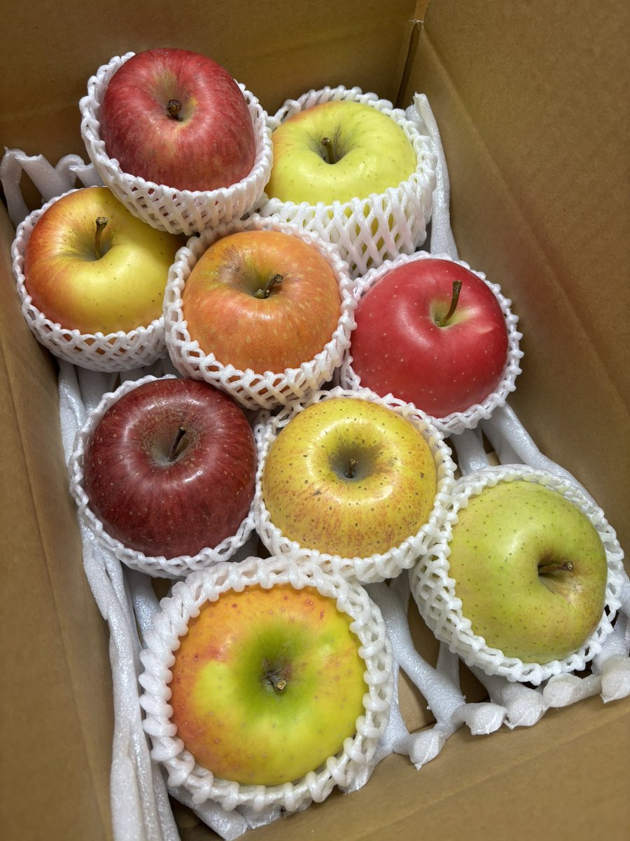 りんごママ🍎🍏もぎたてりんごをお届けしたい🍎🍏🍎 (@aomori_applemam