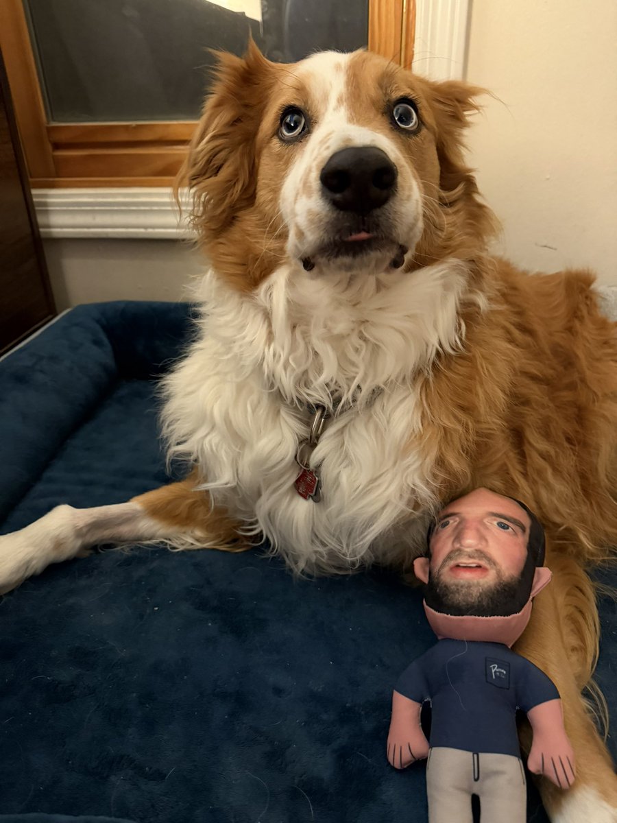 Dog approves of the early Christmas present  <a href="/PardonMyTake/">Pardon My Take</a> <a href="/PFTCommenter/">PFT Commenter</a> <a href="/Philly_Mays/">Max Dolente</a> <a href="/hen_ease/">Hank Lockwood</a>