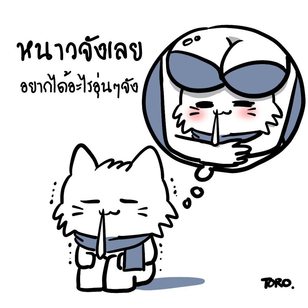 Toro_Toro (@toro_i_am) on Twitter photo 