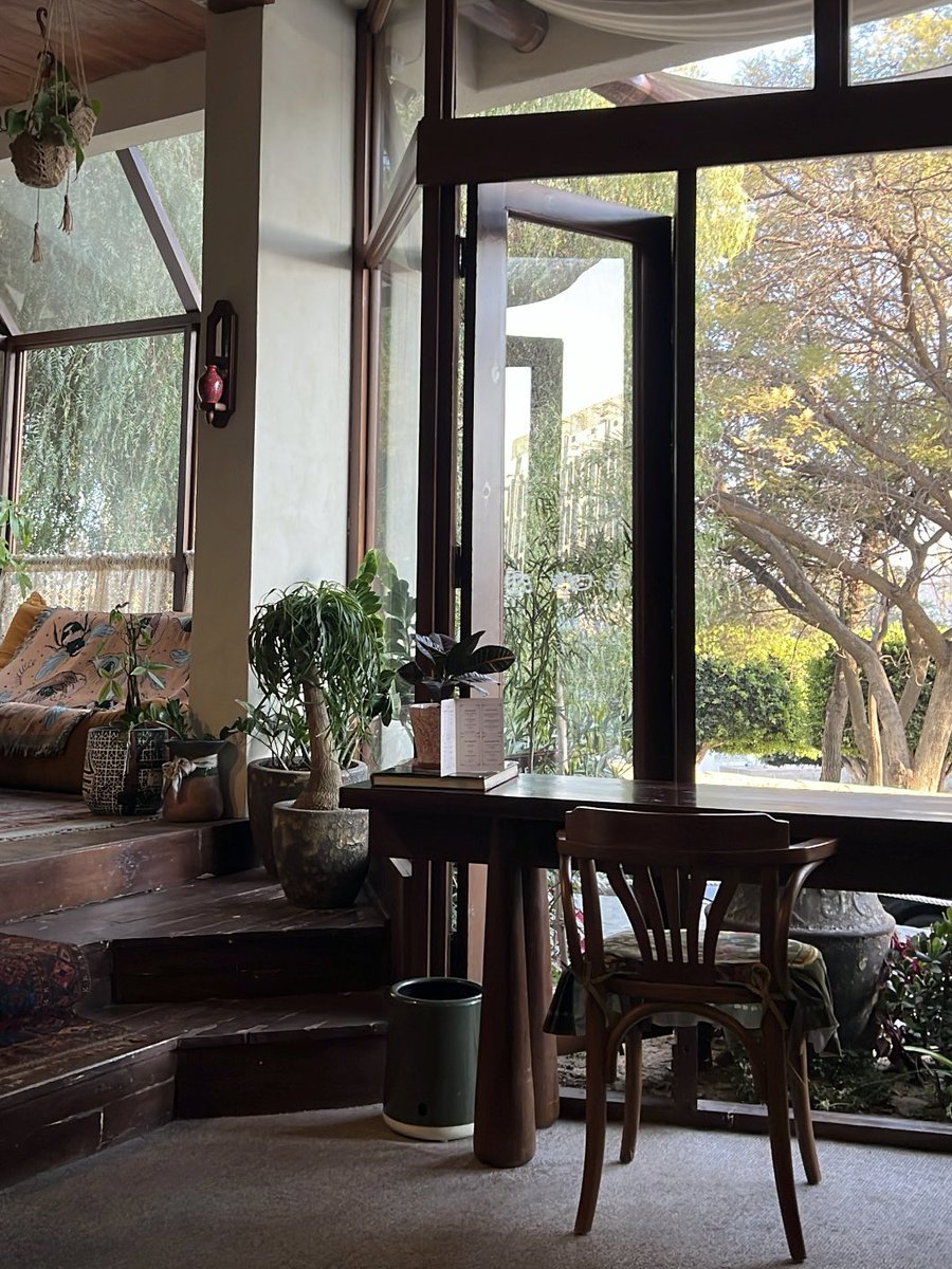 دانـة tweet media