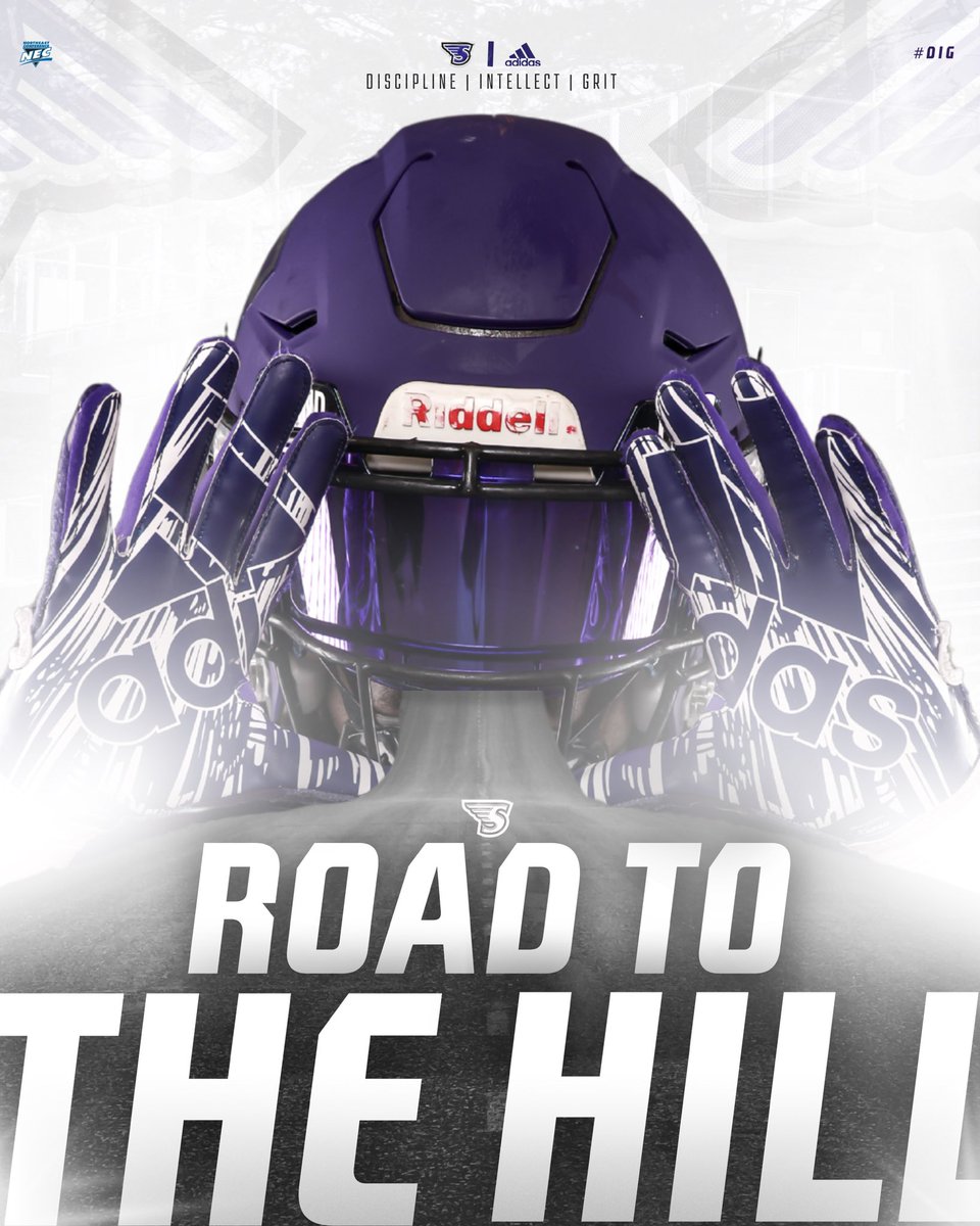 Stonehill Football #DIG tweet media