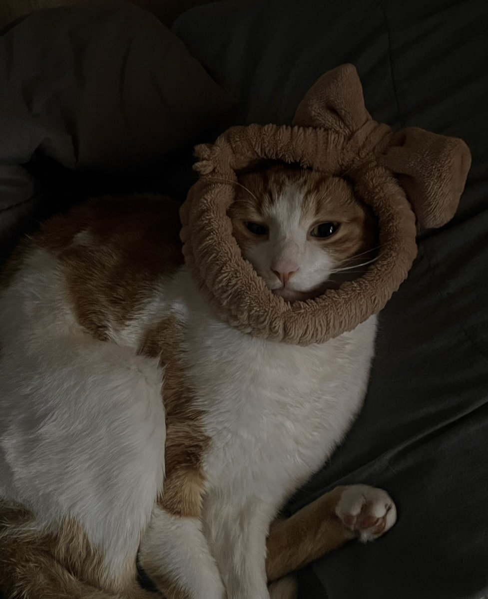 luv my cool pal 😻