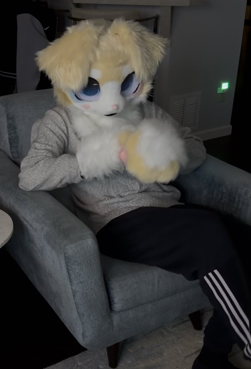 I just wanna watch TV
#furry #fursuit #kemono