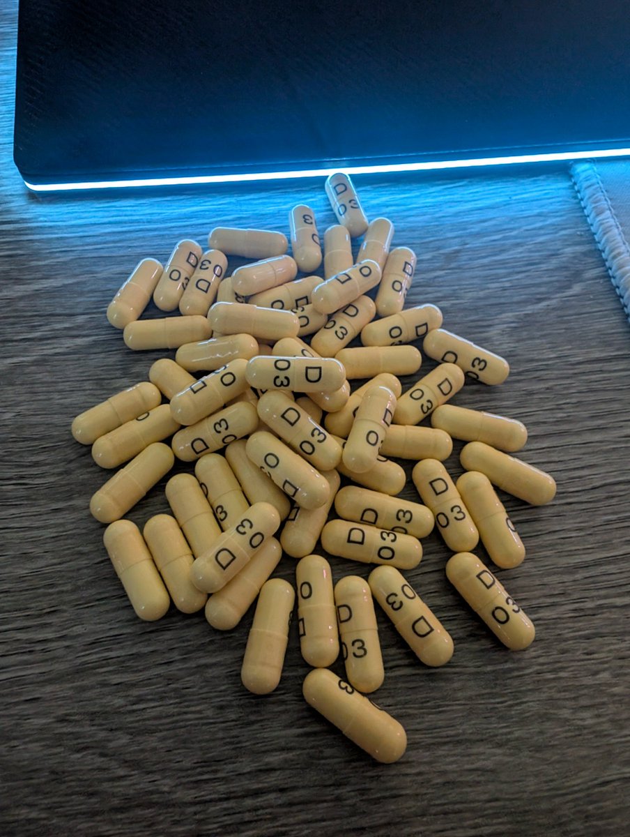 golden bliss (⁠ ⁠╹⁠▽⁠╹⁠ ⁠)(⁠ ⁠╹⁠▽⁠╹⁠ ⁠)