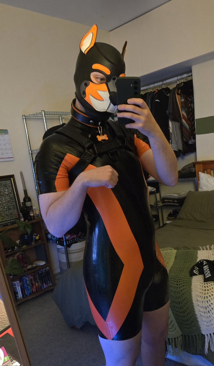 Pup Kit 🪷 tweet media