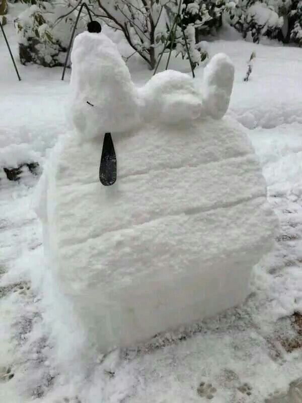 MarianRudnyk's tweet photo. ❄️Awesome!🙂👇 https://t.co/19maJddHBl