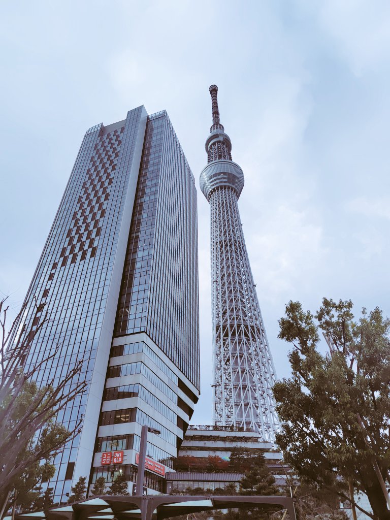 おはようございます✨️本日のスカイツリー
今日はひんやりさむいですね
#墨田区