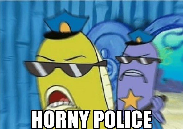 The police in question