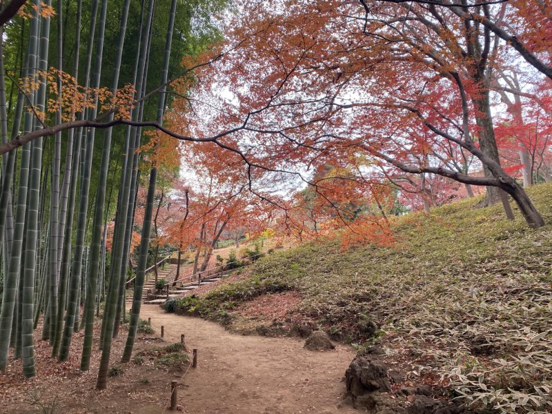 殿ヶ谷戸庭園 (@TonogayatoTeien) / Posts / X