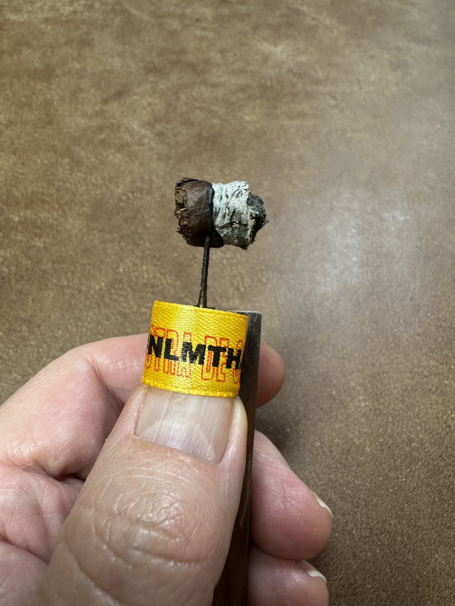 JeffBOTL tweet media