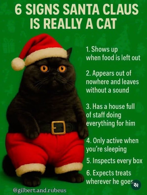 Hi friends! I’m getting in to the Christmas spirit now and it’s fun. Oh and Santa is definitely a kitty cat. He expects treats wherever he goes and I know I sure do too! 😹🎅🎄
Hope you are all having a great season, we love you! 🐈‍⬛❤️