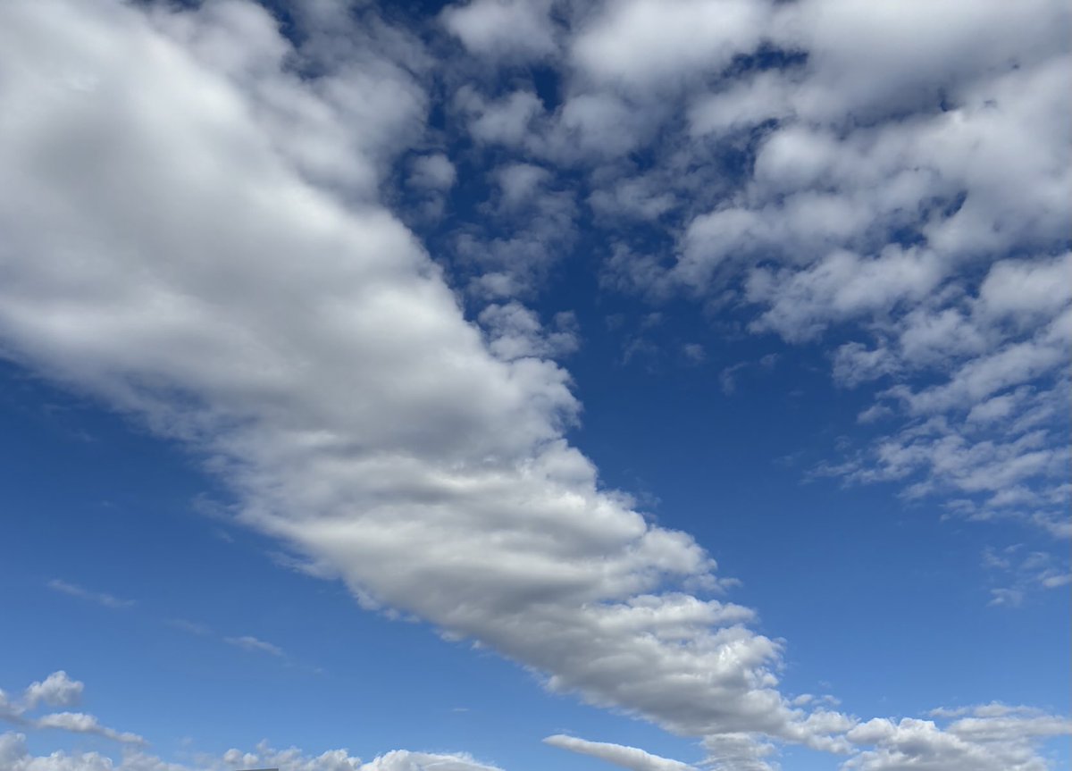 気分爽快になれる青空をアップします🌞✨☁️🐬 #TOKYO Sky #Sky #空 #青空