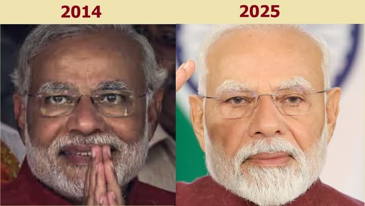 RavinderKapur2's tweet image. The Korean Mushroom affect 🤡