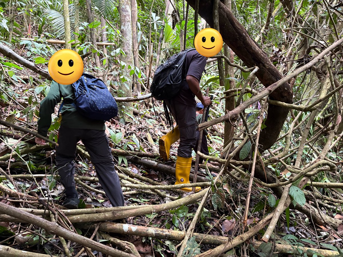 🍿 popcorn tweet media