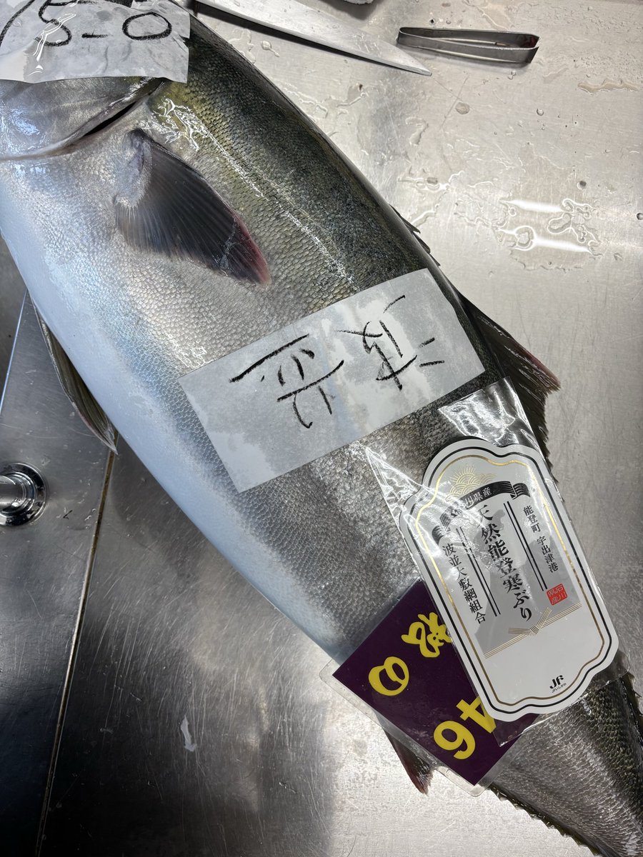 15kgぶりなど入りました