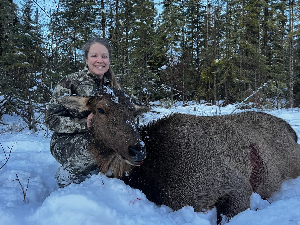 Gridlessness tweet media