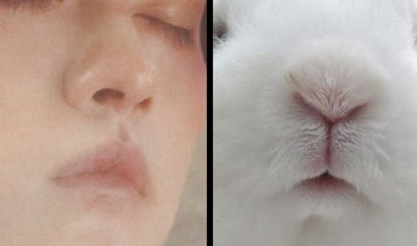 vik railway .ᐟ VAI VER O GNR tweet media