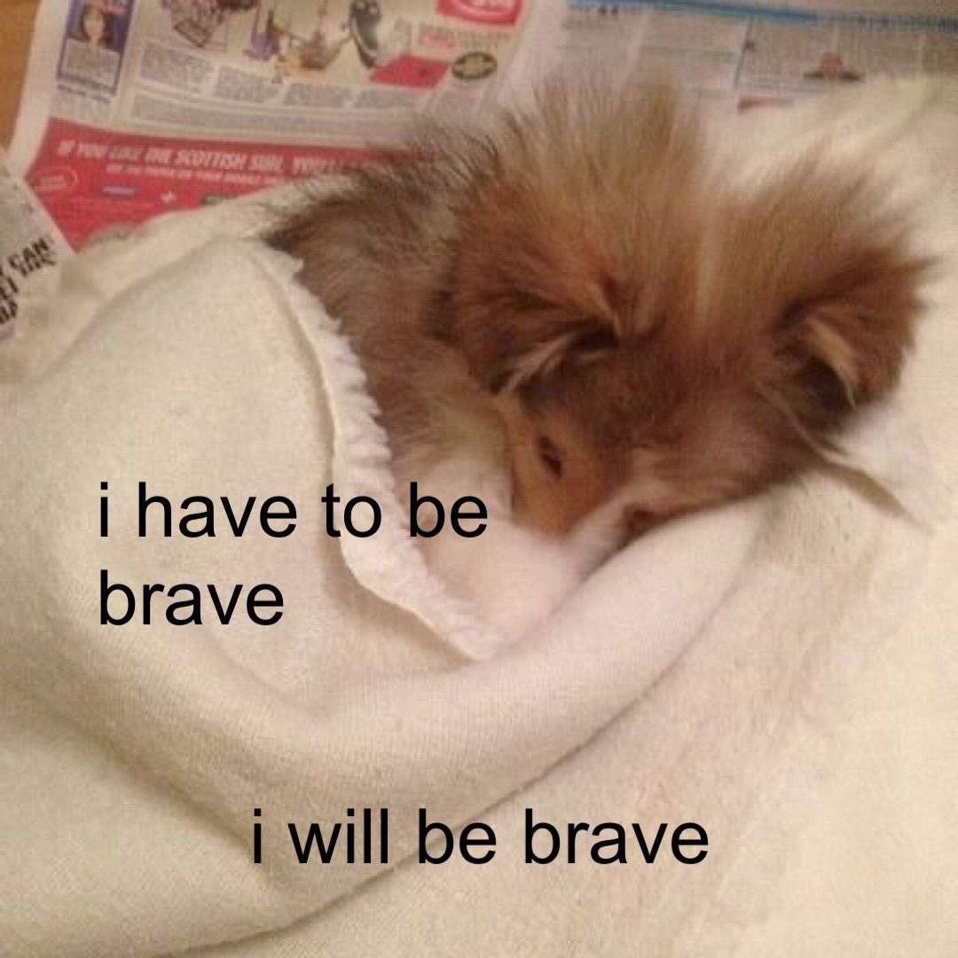 The Notorious J.O.V. (@whotfisjovana) on Twitter photo 