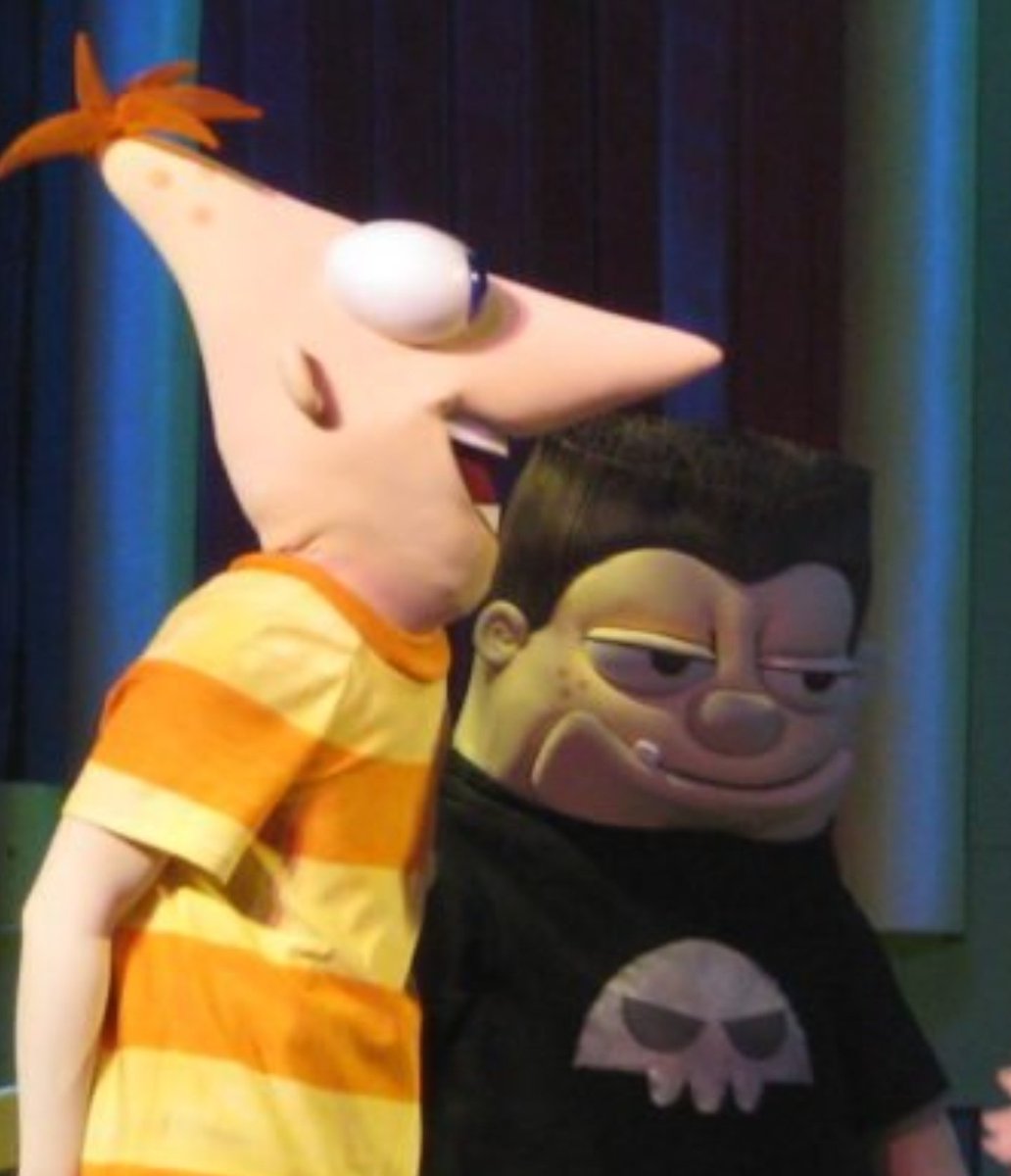 CatSolute tweet media