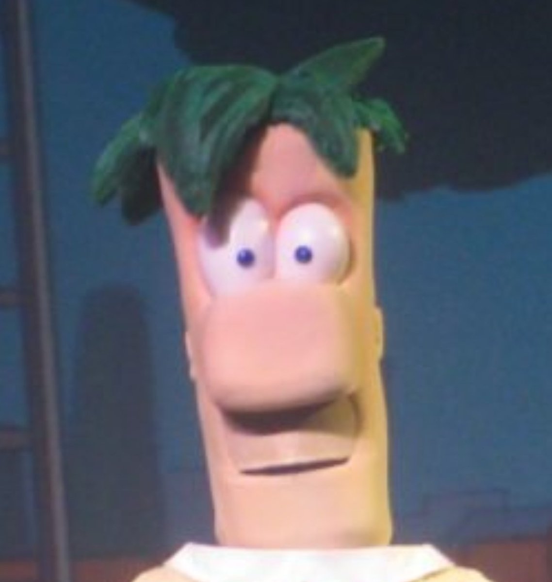 CatSolute tweet media