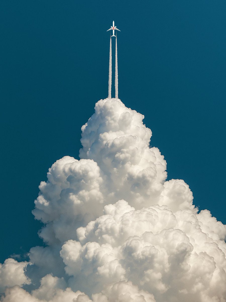 Benjamin Wolf tweet media