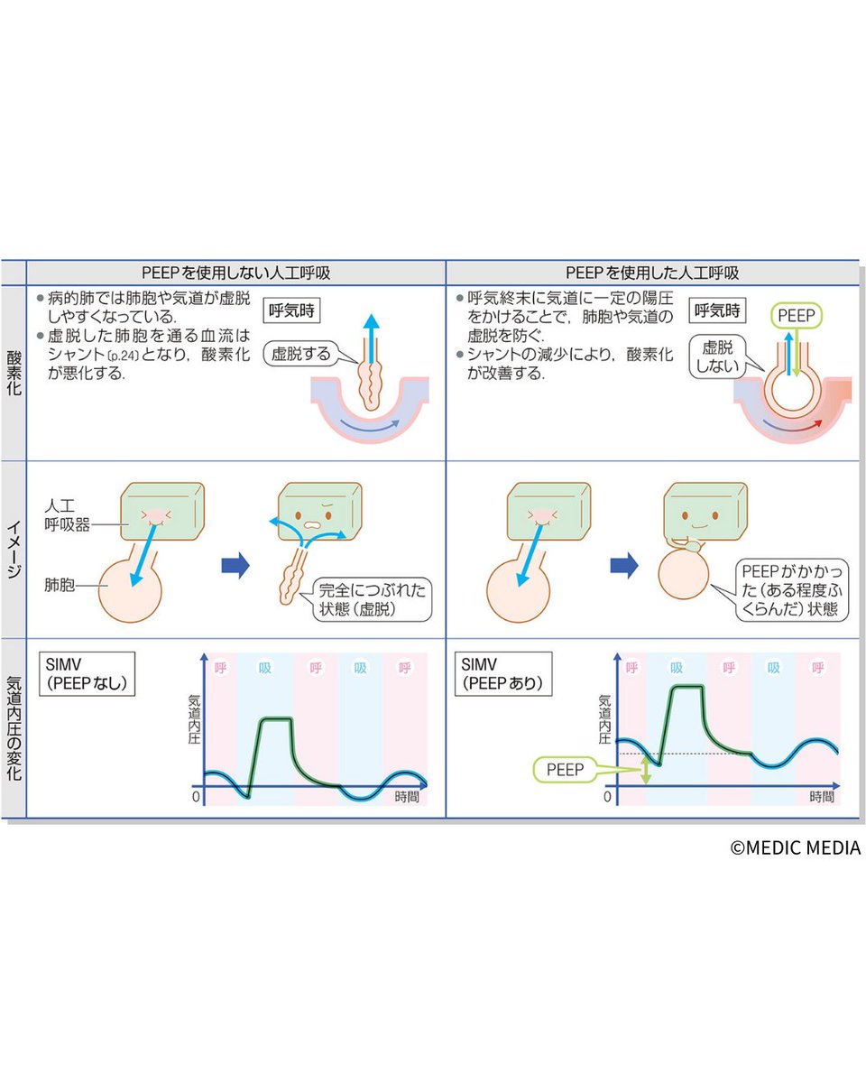病気がみえる (@byo_mie) / Posts / X
