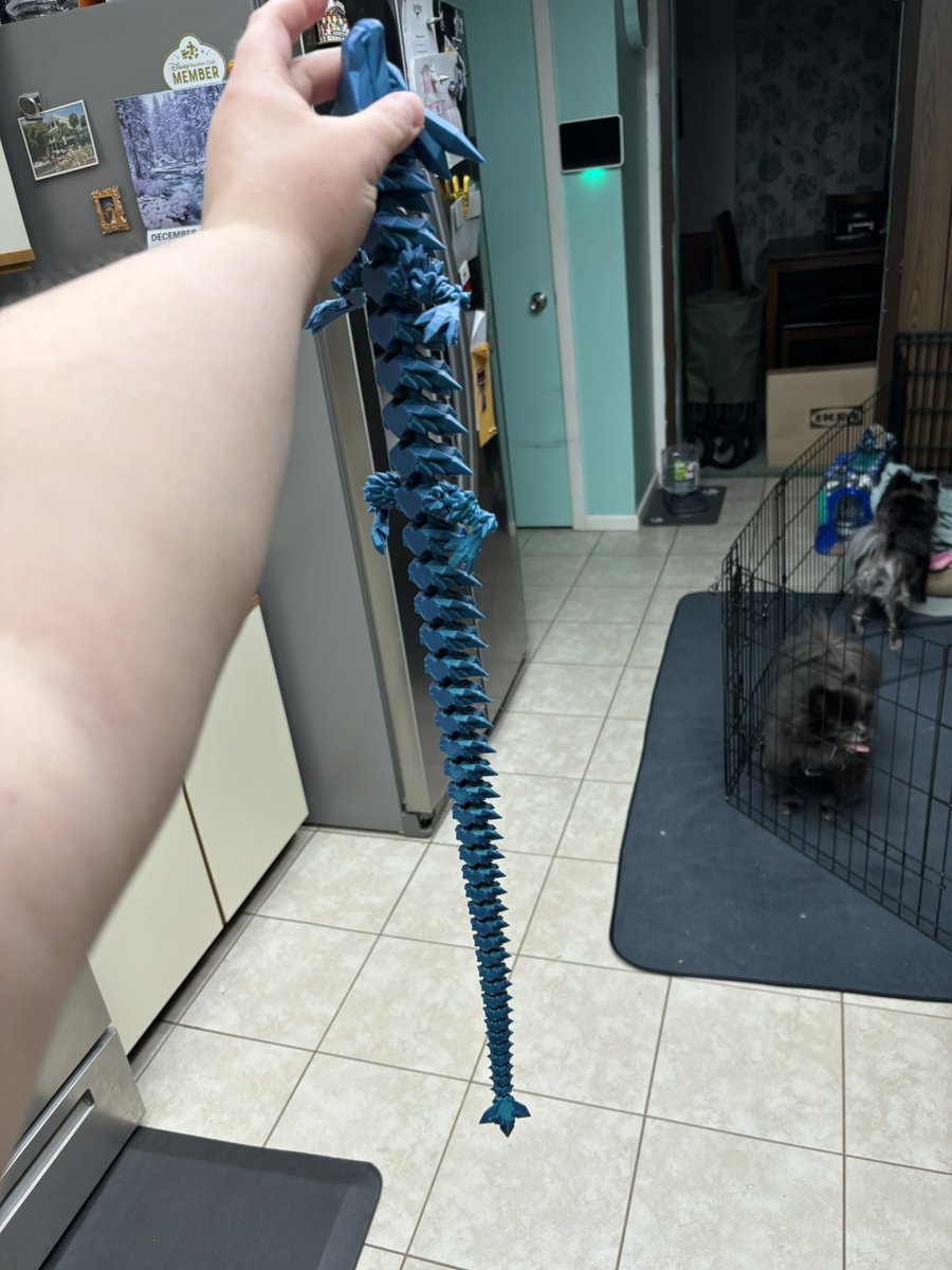 Tigercub07's tweet image. Early 5 year anniversary gift from my husband!!! This 2 foot dragon is beautiful!