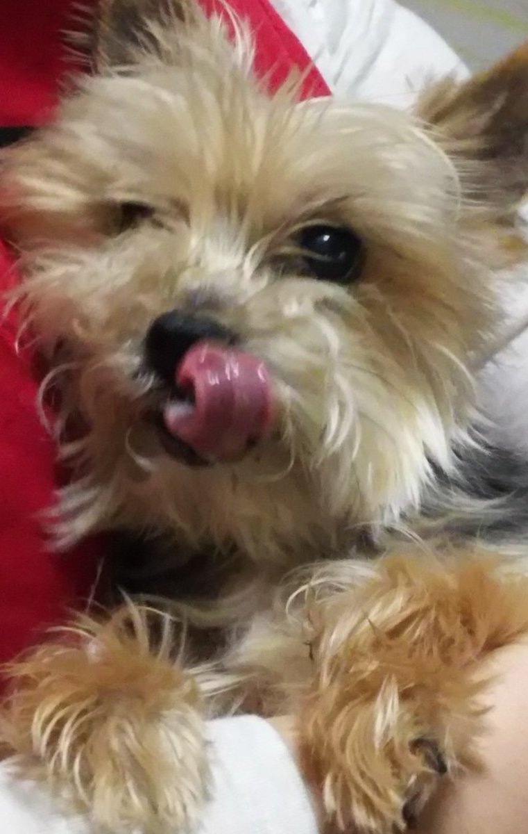 みかん (@ranperuyome) on X