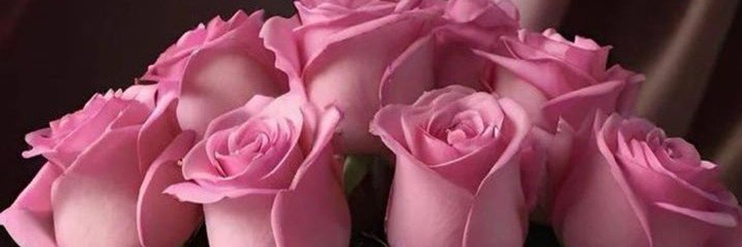 میں دسمبراور تو جنوری.....! 
رشتہ کافی نزدیک کا دوریاں پورے سال کی🥀

#اردو_زبان 
#TDR_now