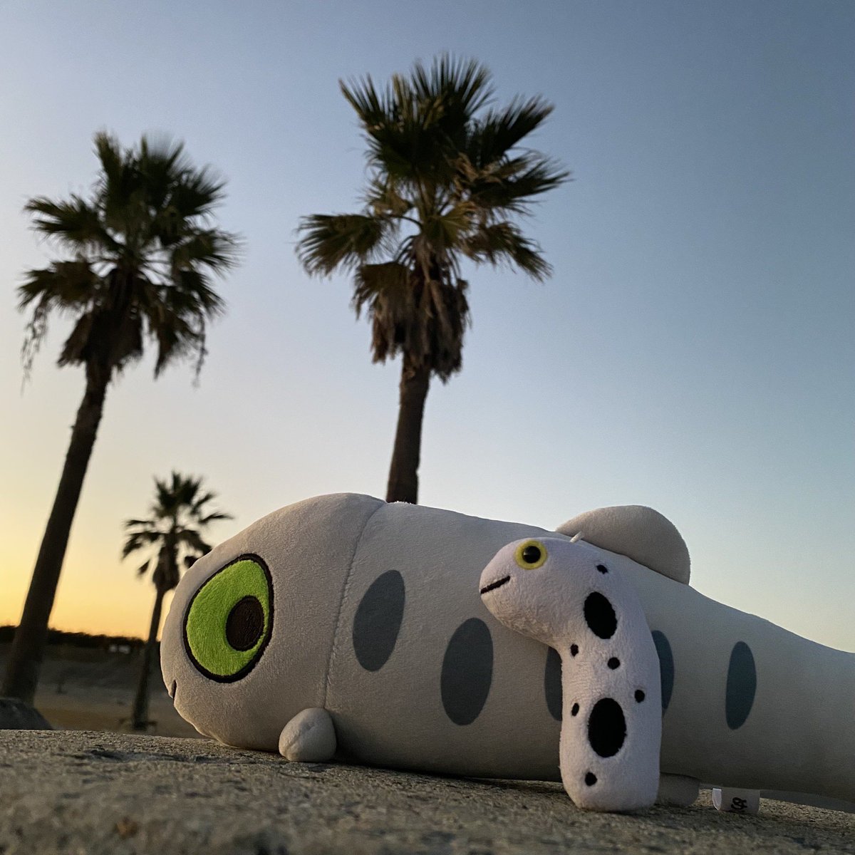 Gun Blue48 (@GunBlue48) / Posts / X