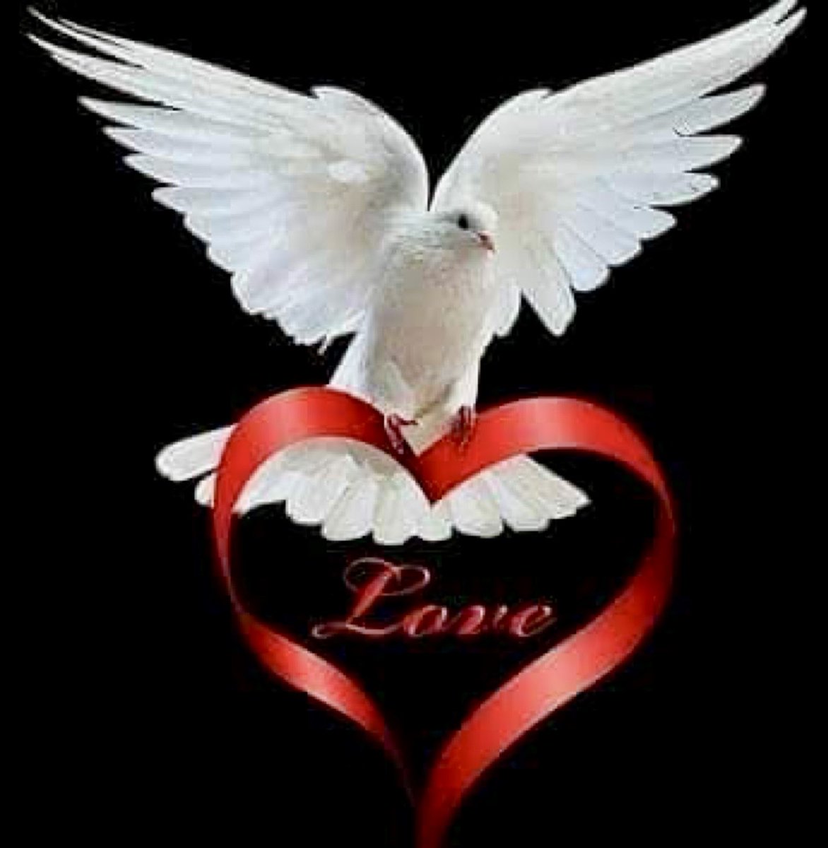David Coverdale tweet media