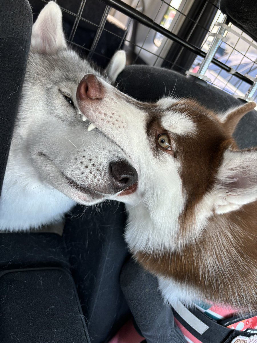 shu (@shu_moon13) / Posts / X