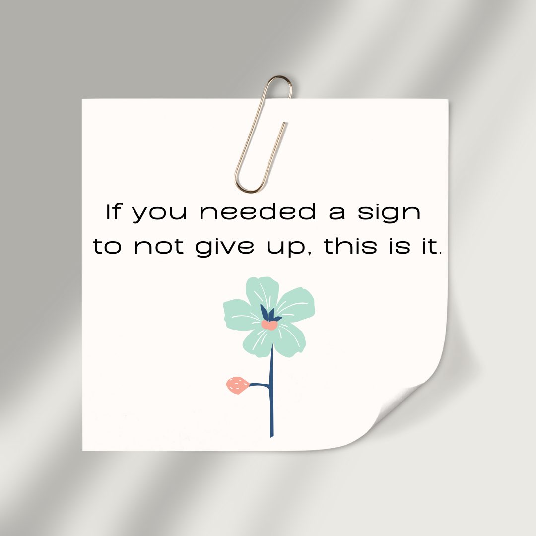 BarbaraBathurst's tweet photo. https://t.co/t8A9idJ2ST