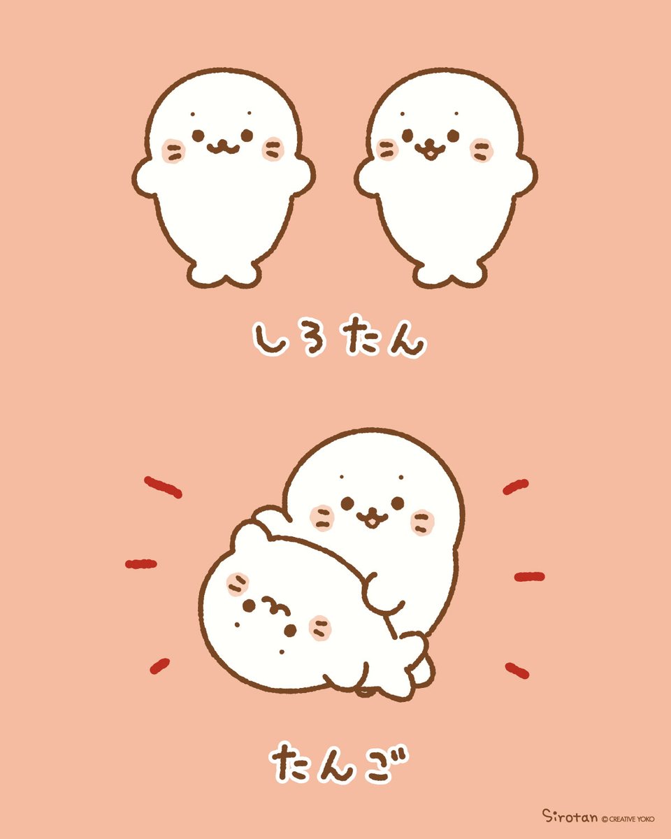 しろたん (@sirotan_fun) / Posts / X