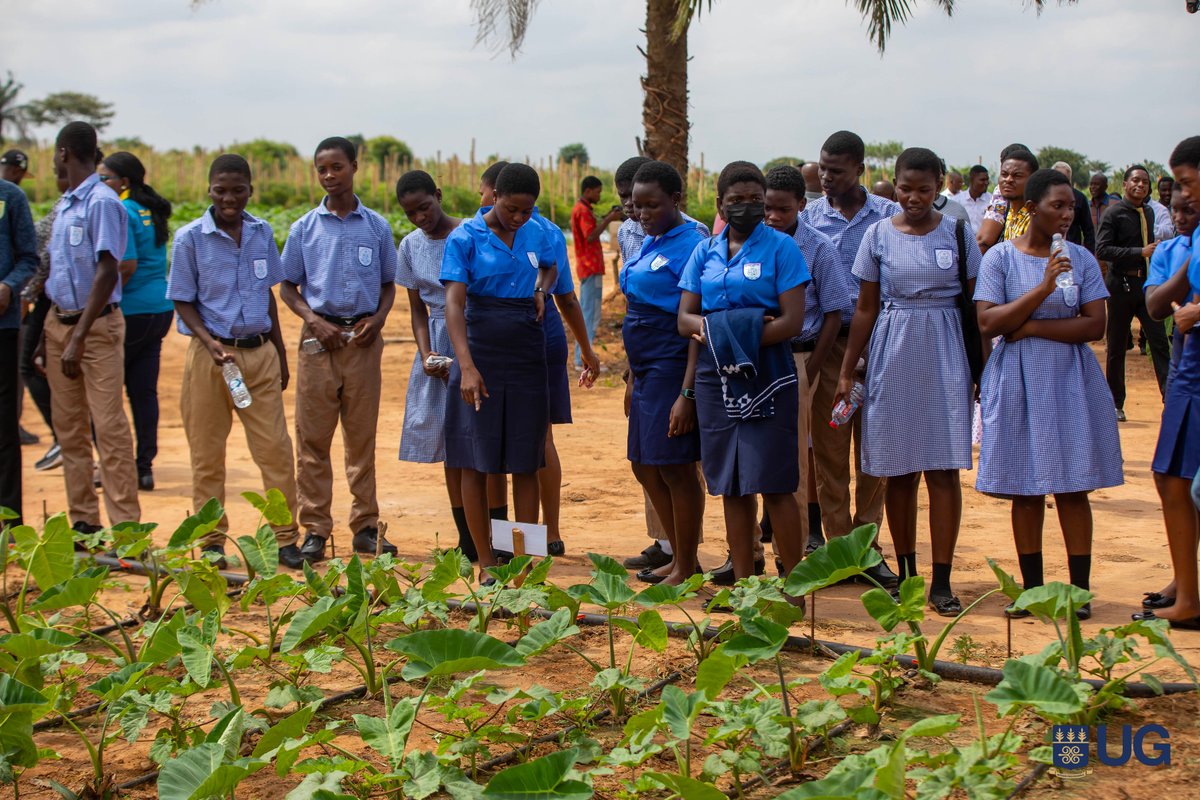 University of Ghana tweet media