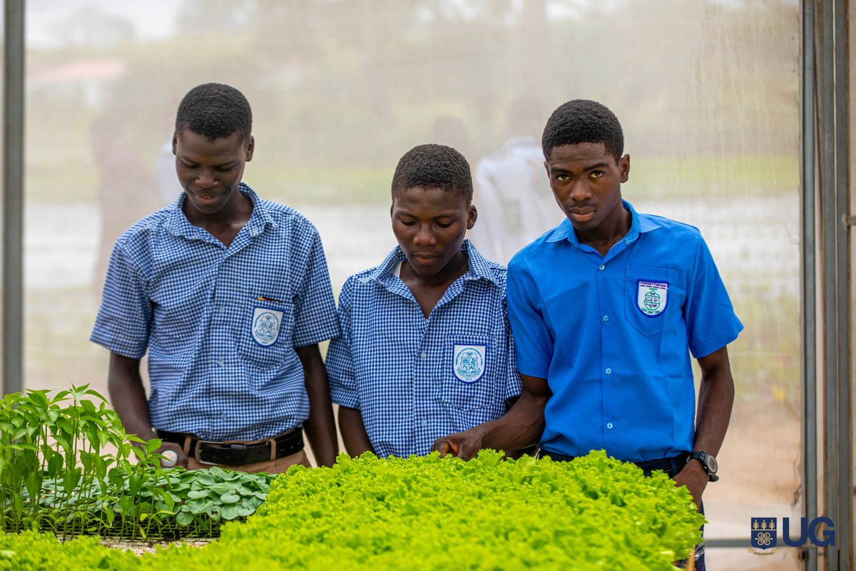 University of Ghana tweet media