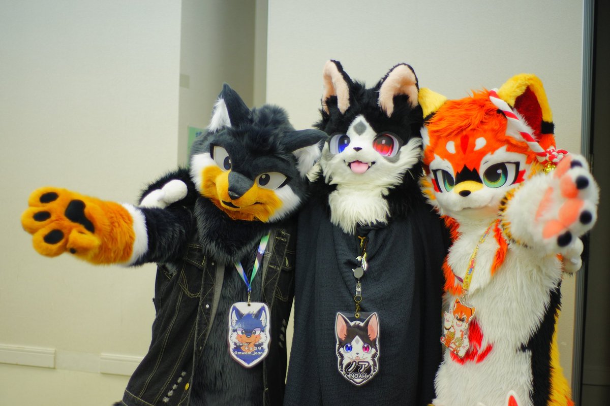 fujiko@12/5-7 るーふる合宿🐾 (@fujiko_T_fujiko) / Posts / X