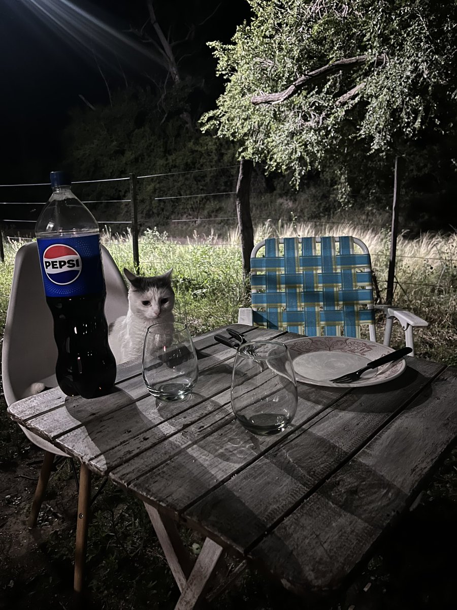 ludescartes's tweet image. Me invitaron a comer afuera: