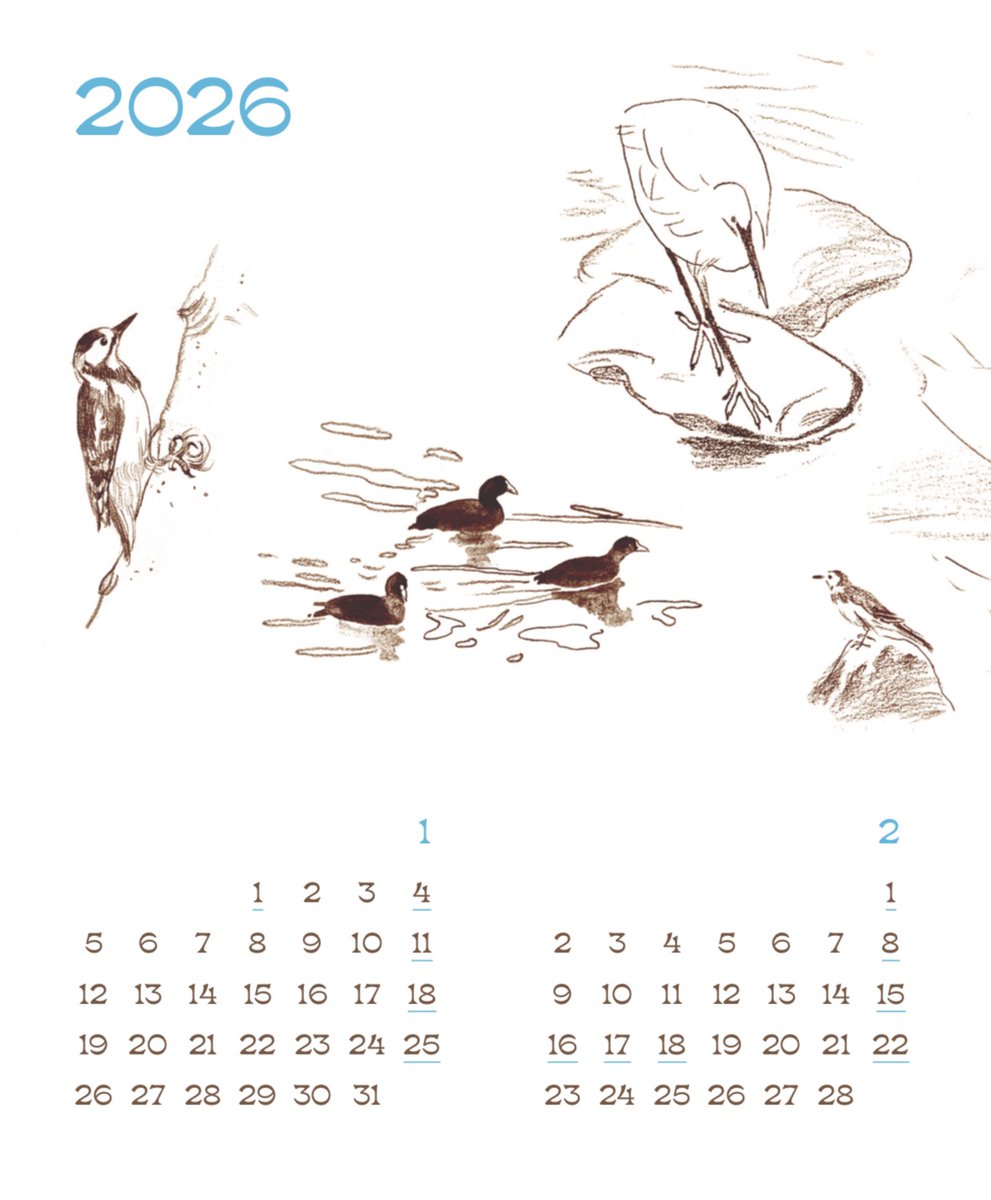 ✍️전시 <새소식: 기러기가 보낸 편지>중 ,
✨8번째 새소식 두번째 가을ver. 
✨2026년 새연력 (도서구입or 북토크 참여tl 증정)
새로운 원화와 함께 2종을 최초공개하니 편히 방문해주세요!

2025.12.18(목)-20(토) 11:00-18:00 
파라다이드 아트랩 워크숍(서울 중구 퇴계로 299 파라다이스 빌딩1층)