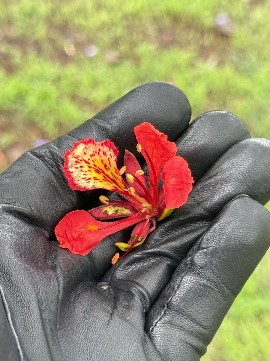 “I have told you these things, so that in me you may have peace. In this world you will have trouble. But take heart! I have overcome the world.”

John 16:33