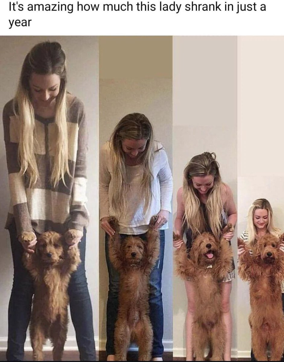 WholesomeMemes (@wholesomememe) on Twitter photo 