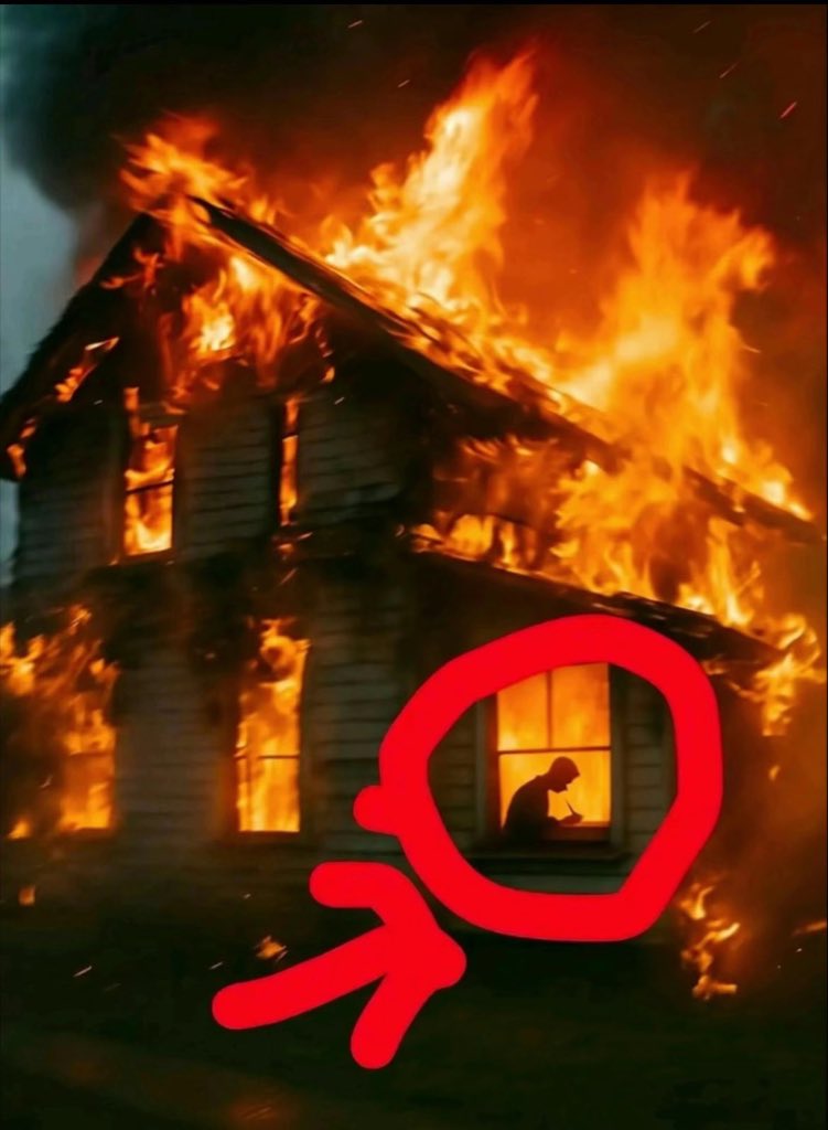 davisdc30's tweet image. se ela for feia é celibato, se ela for linda eu tô pras foda