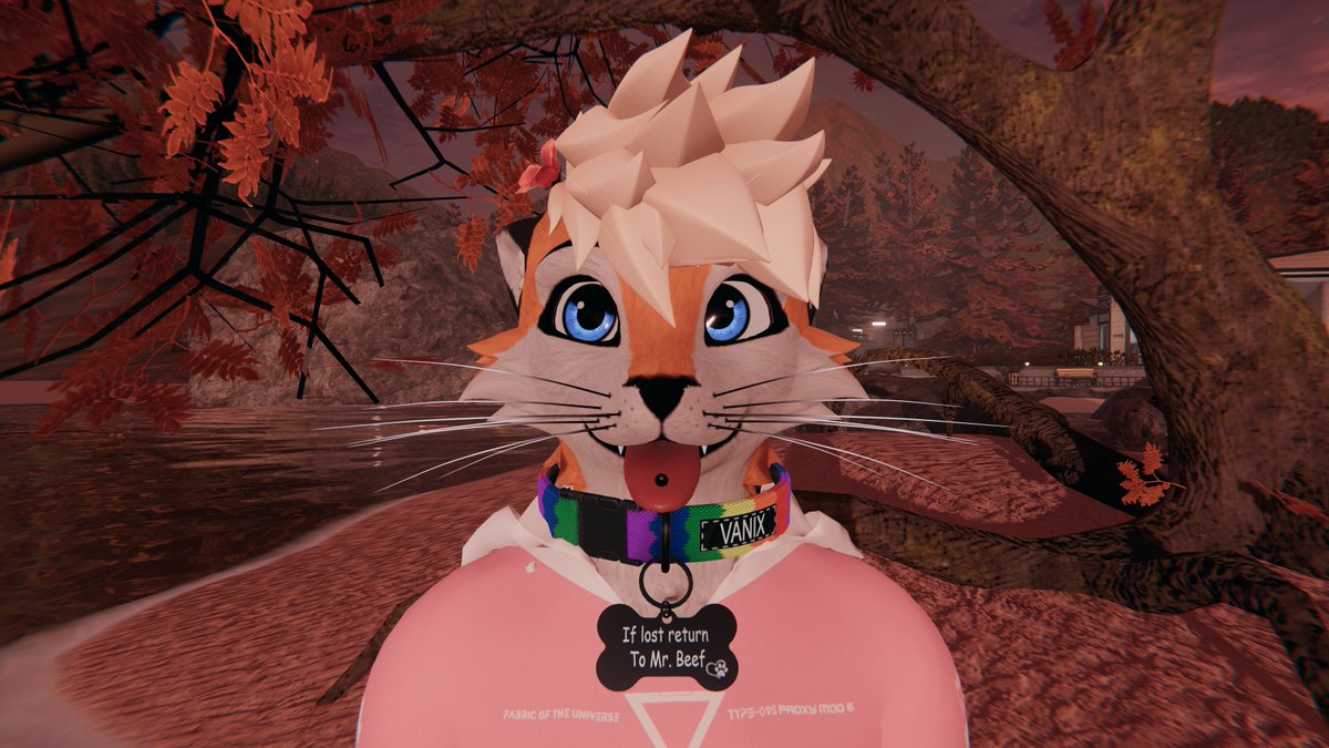 VanixTheFox's tweet photo. @MrBeef_69 https://t.co/dIY0mrx0h0