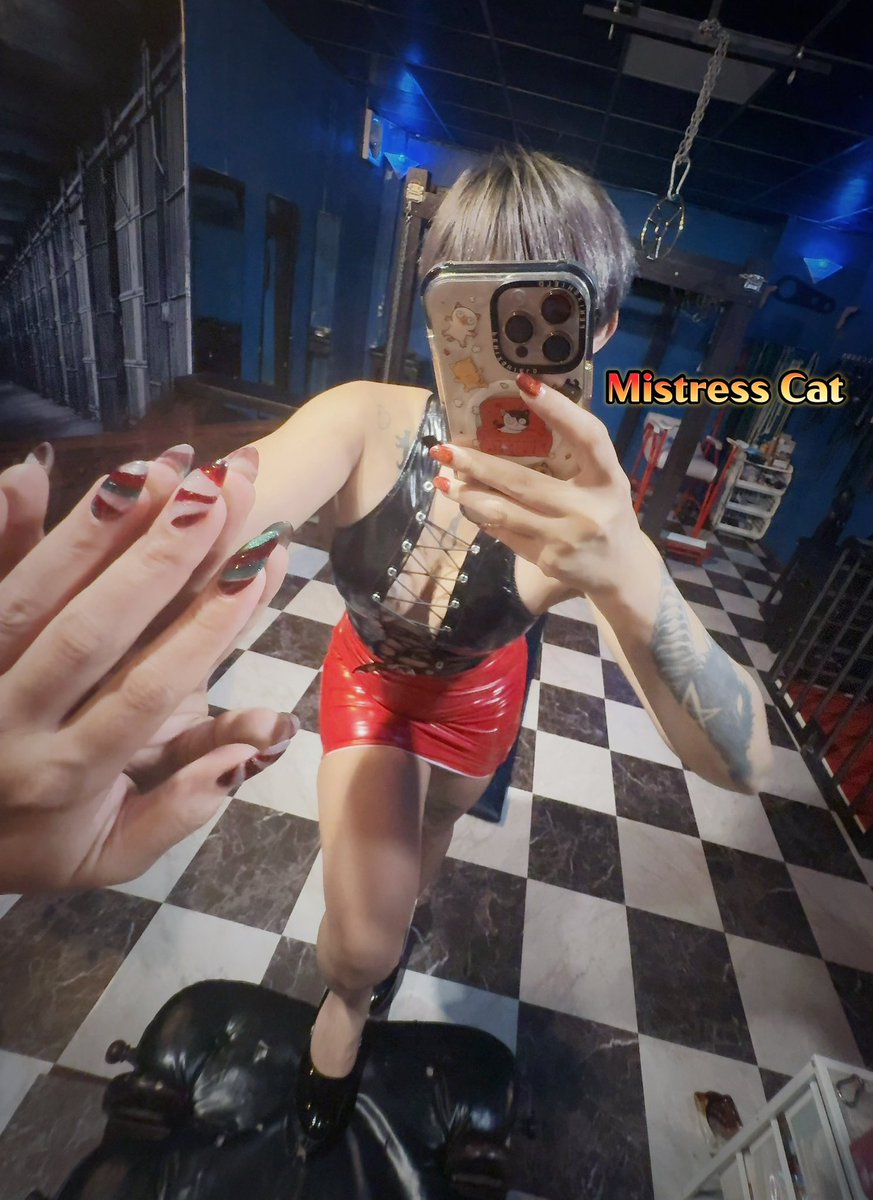 Mistresscat07's tweet image. 